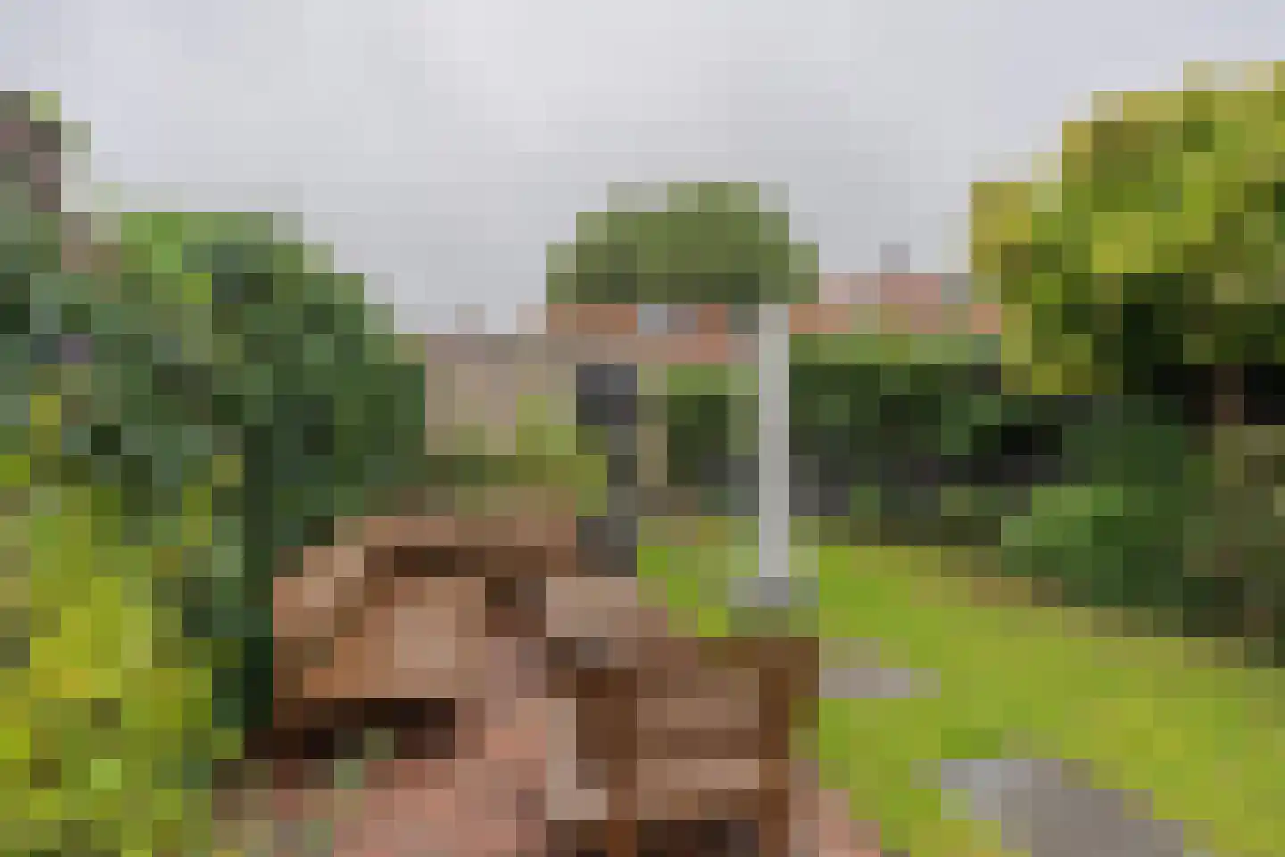 Vogelzangsweg 5 Goes thumbnail 46