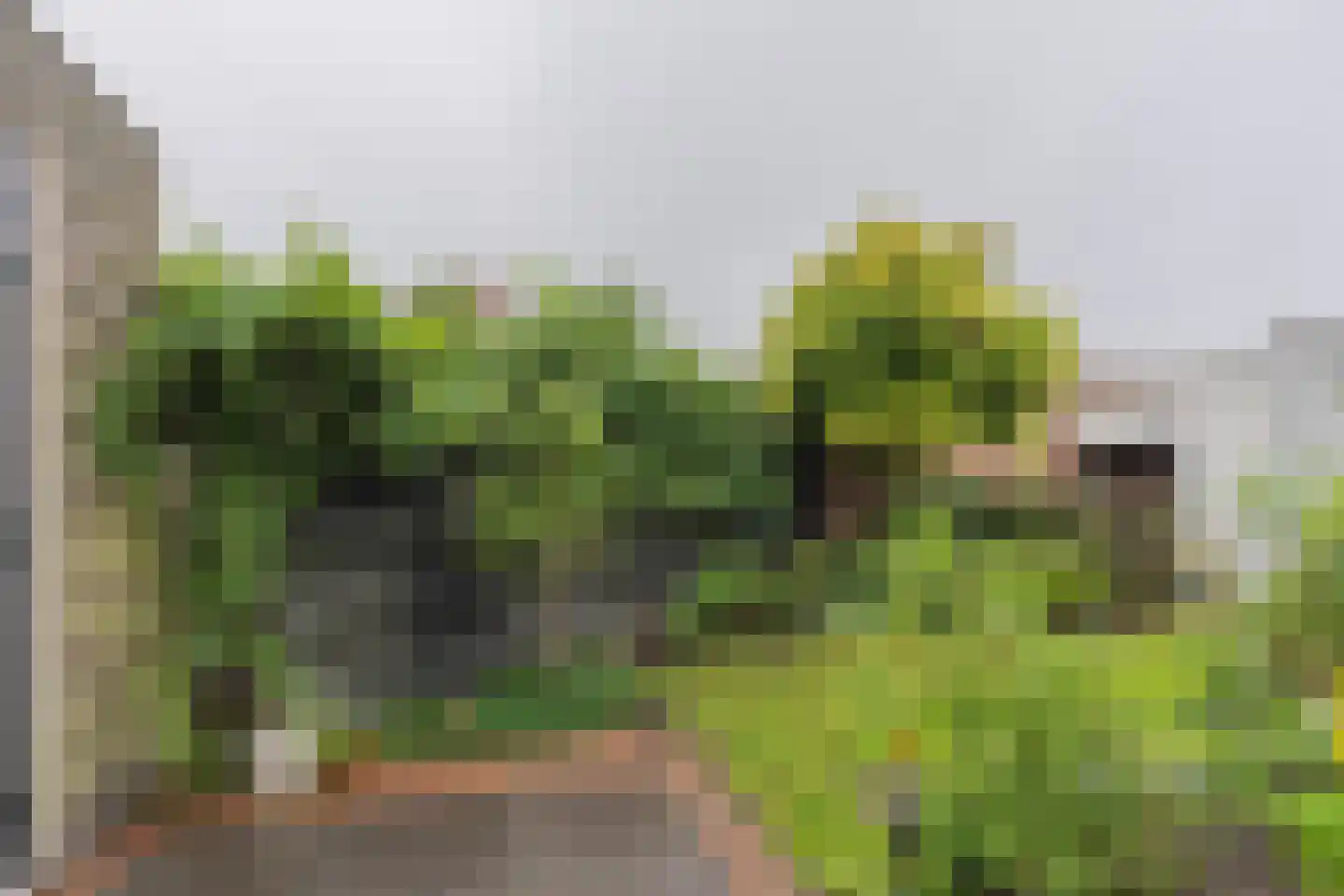 Vogelzangsweg 5 Goes thumbnail 49