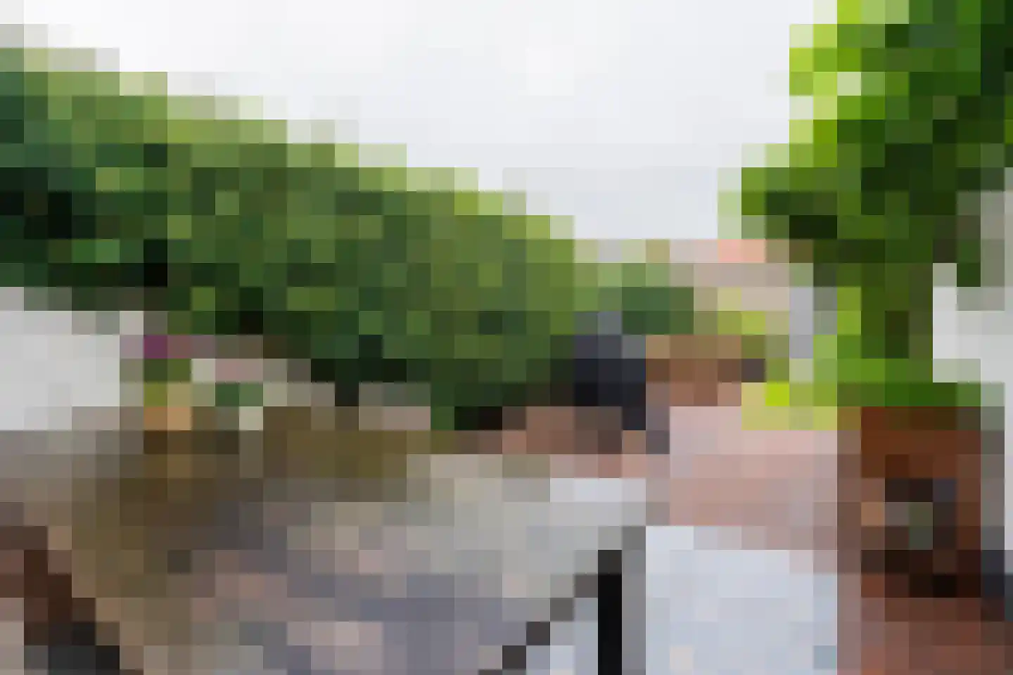 Vogelzangsweg 5 Goes thumbnail 53
