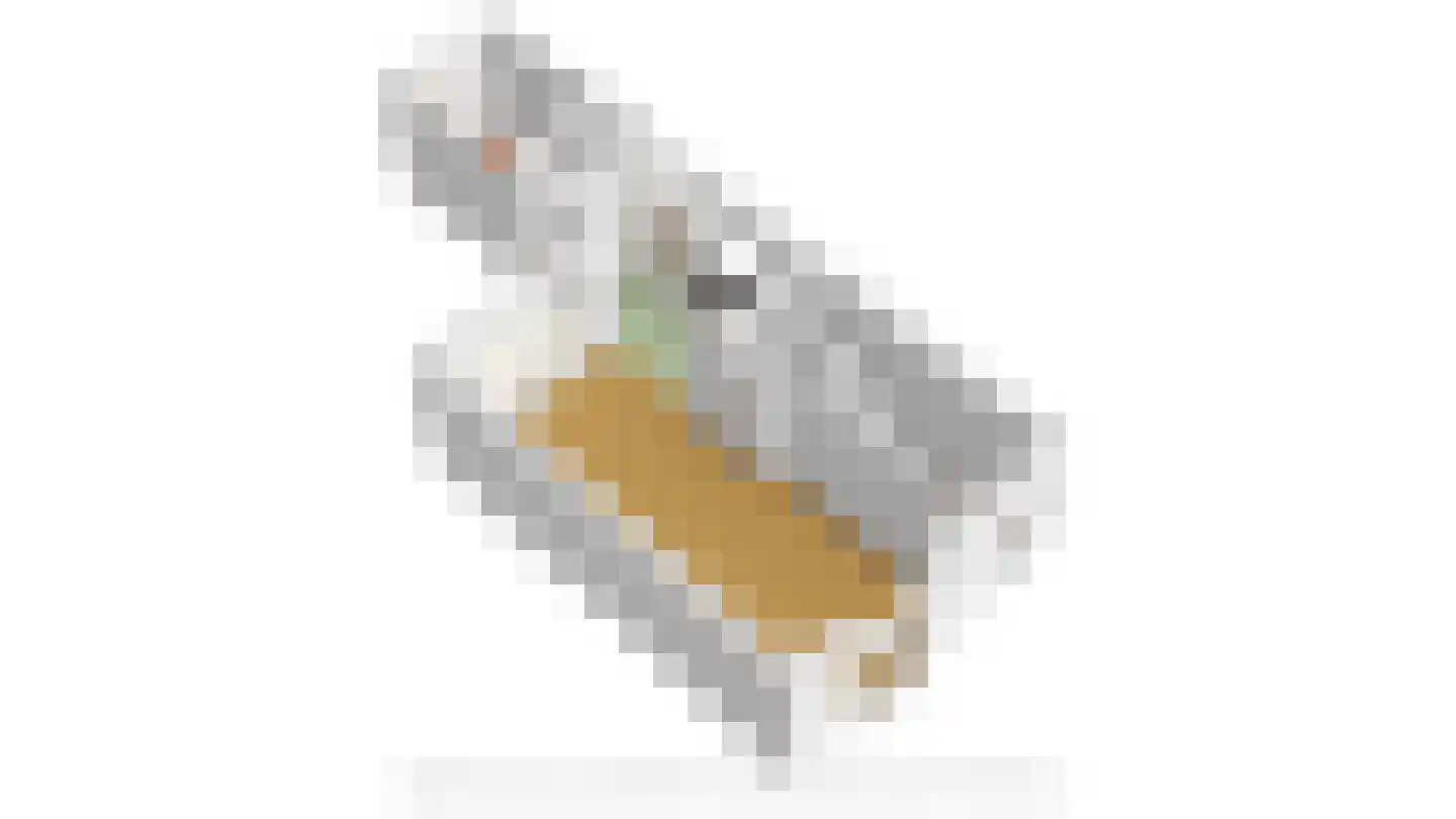 Vogelzangsweg 5 Goes thumbnail 58