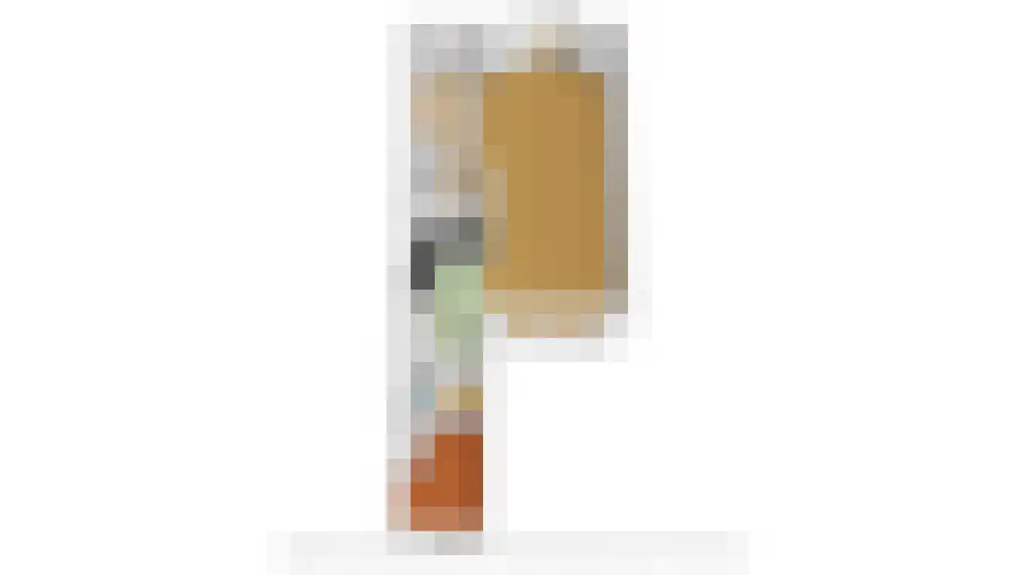 Vogelzangsweg 5 Goes thumbnail 62