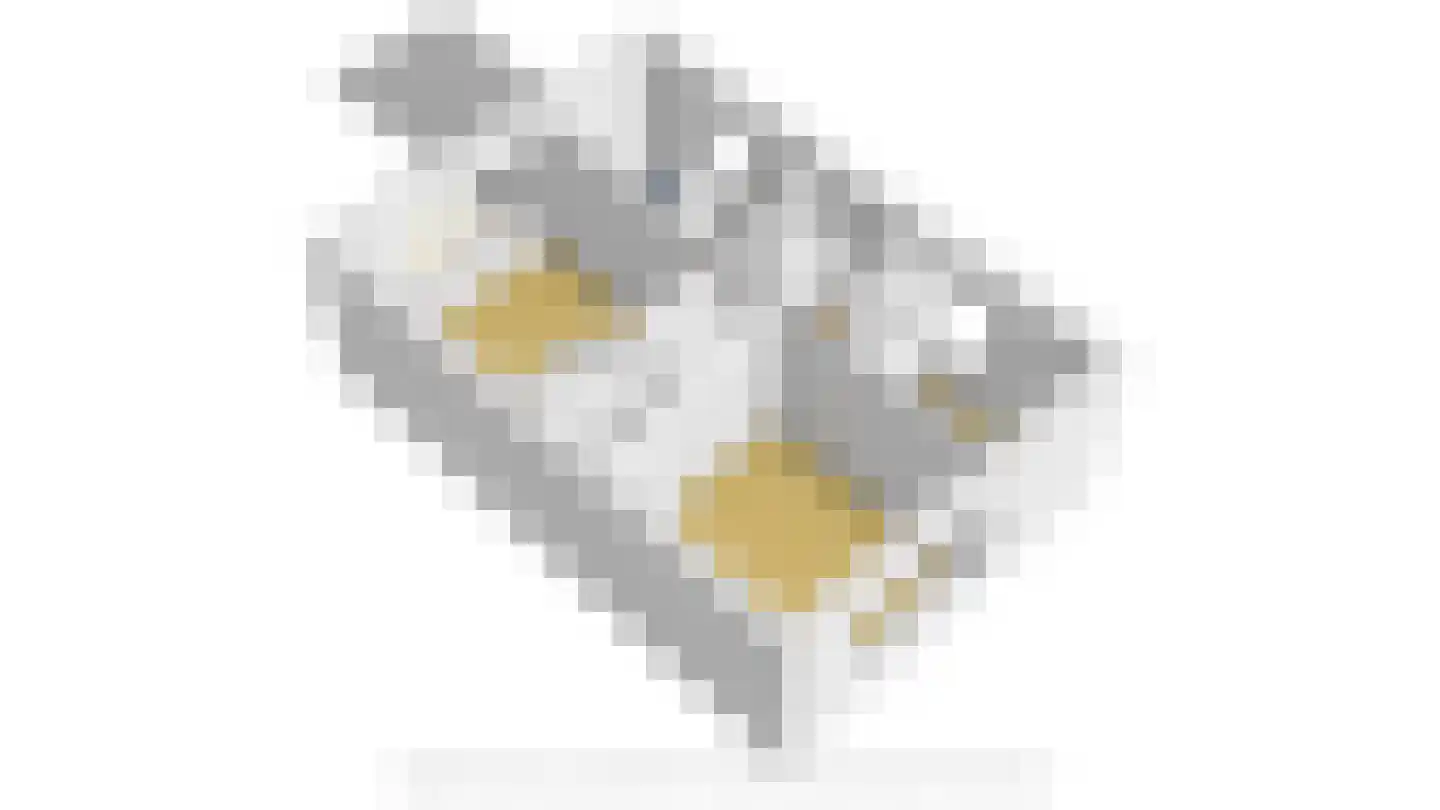 Vogelzangsweg 5 Goes thumbnail 63