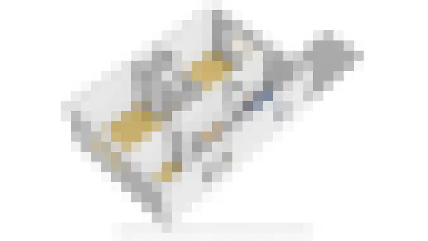 Vogelzangsweg 5 Goes thumbnail 64