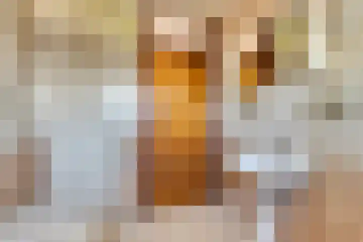 Vogelzankweg 165 Landgraaf thumbnail 20