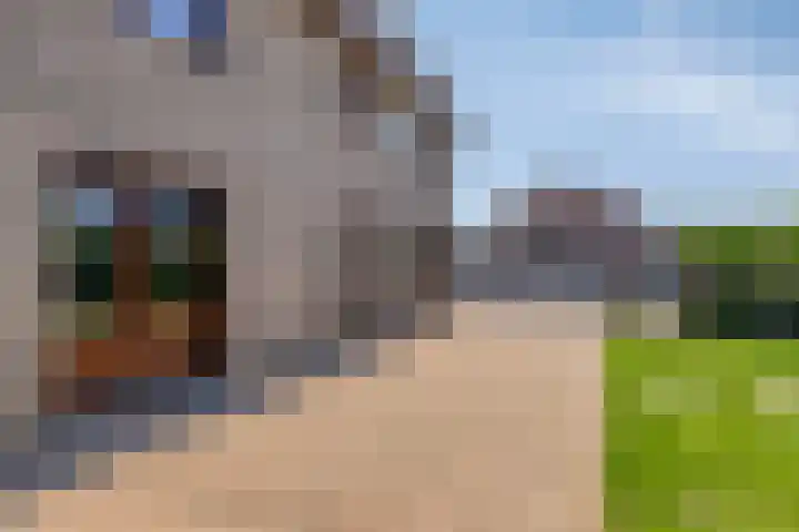 Vogelzankweg 165 Landgraaf thumbnail 35