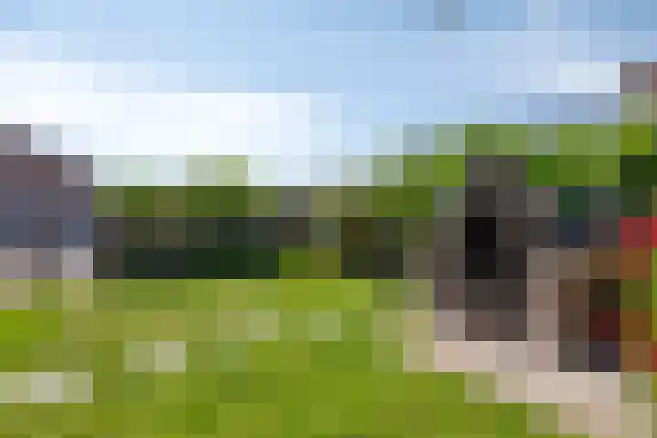 Vogelzankweg 165 Landgraaf thumbnail 36