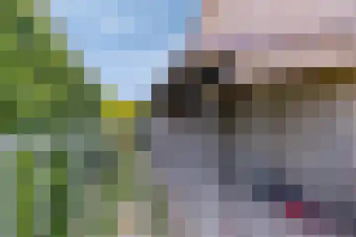 Vogelzankweg 165 Landgraaf thumbnail 43