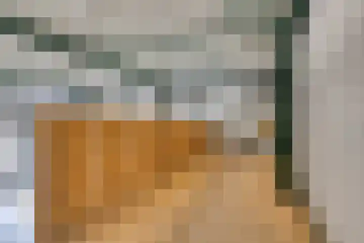 Vogelzankweg 165 Landgraaf thumbnail 57
