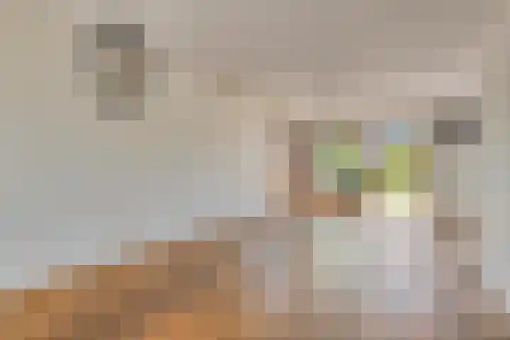 Vogelzankweg 165 Landgraaf thumbnail 7