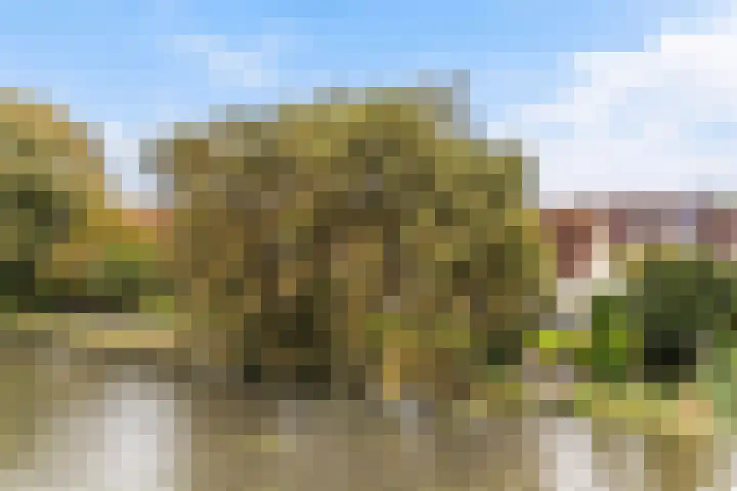 Vogelzwin 10 Sneek thumbnail 10