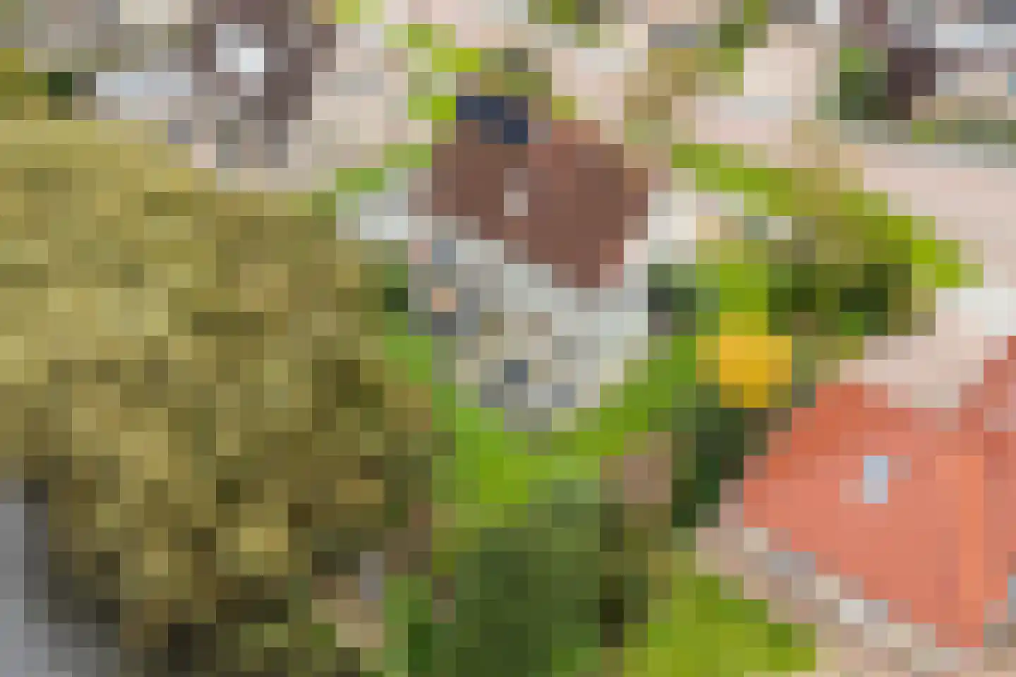 Vogelzwin 10 Sneek thumbnail 11