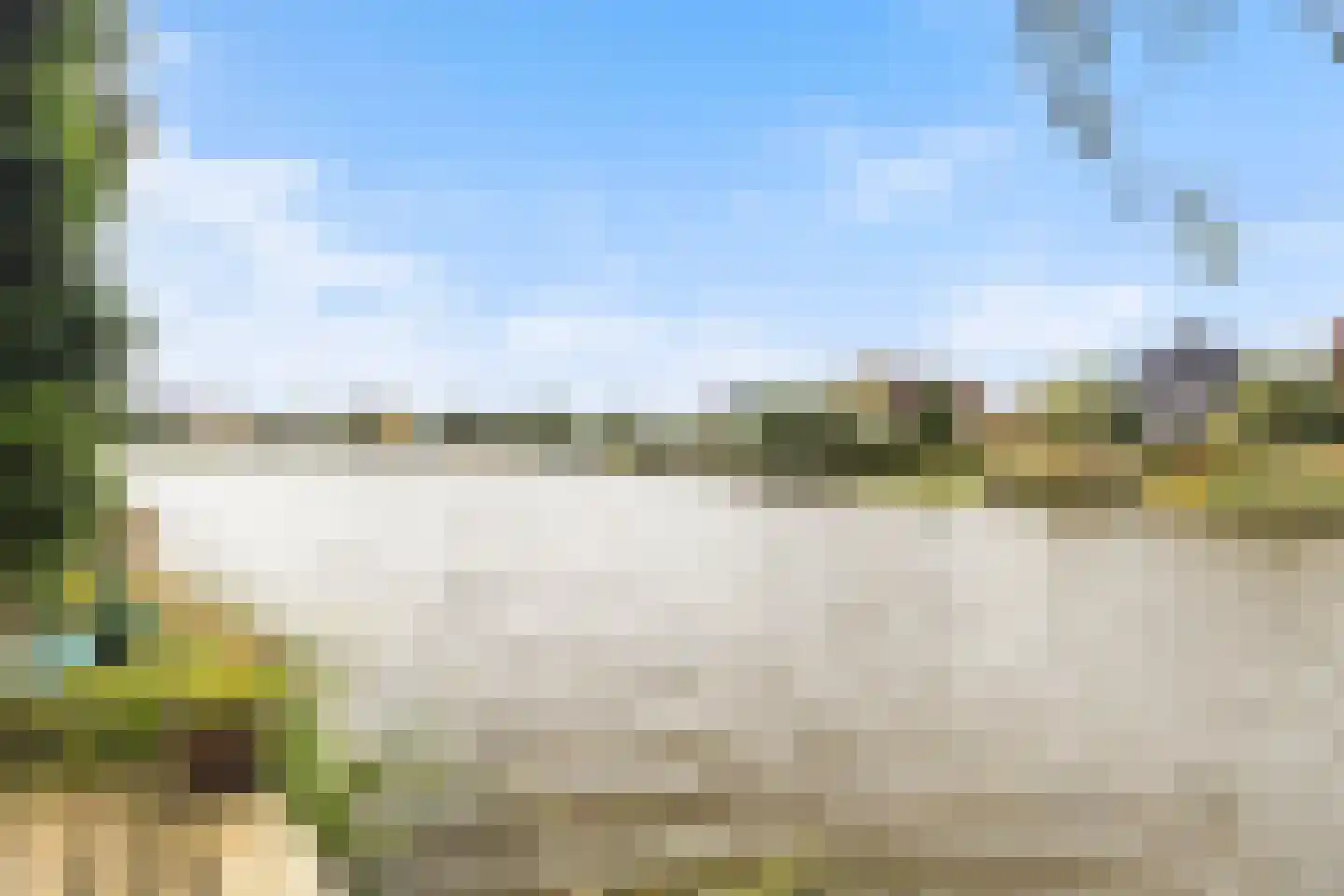 Vogelzwin 10 Sneek thumbnail 12