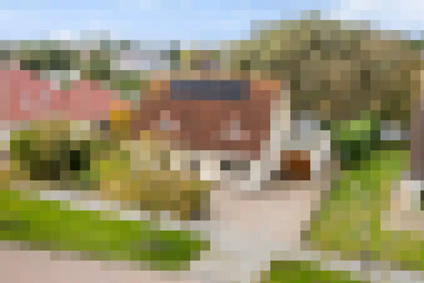 Vogelzwin 10 Sneek thumbnail 14