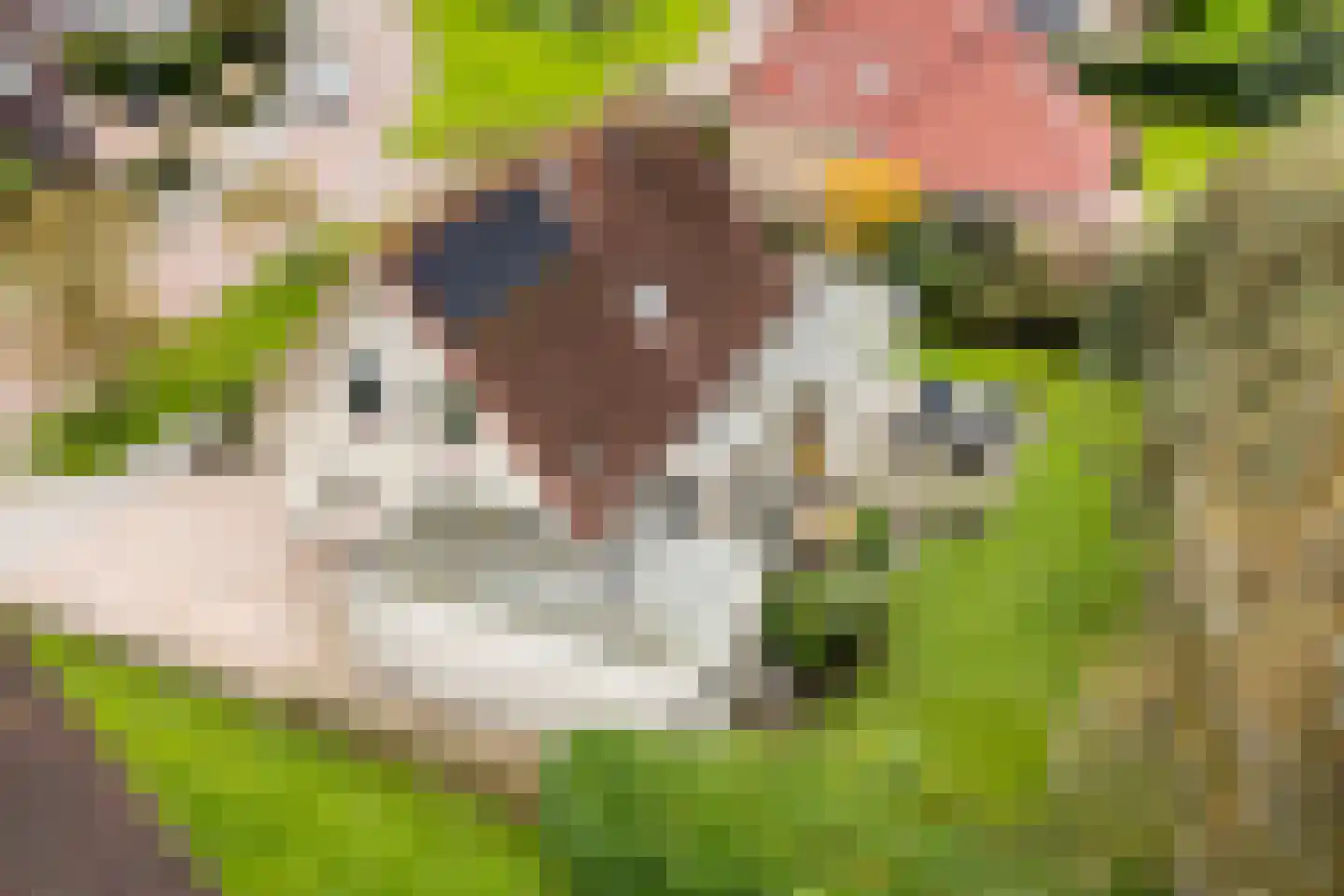 Vogelzwin 10 Sneek thumbnail 15