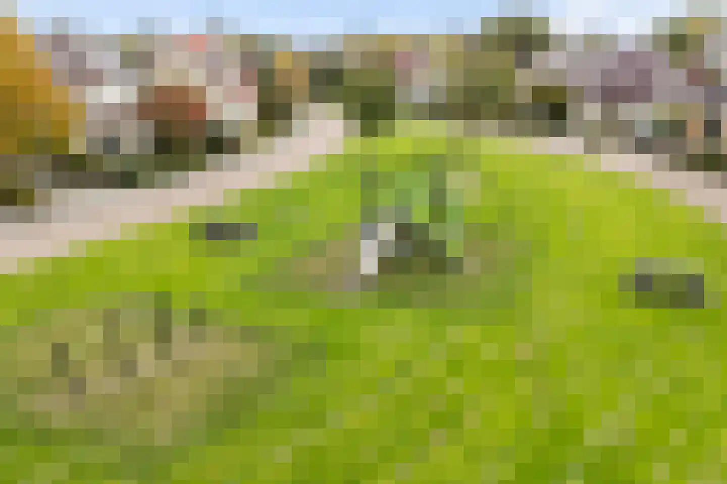 Vogelzwin 10 Sneek thumbnail 16