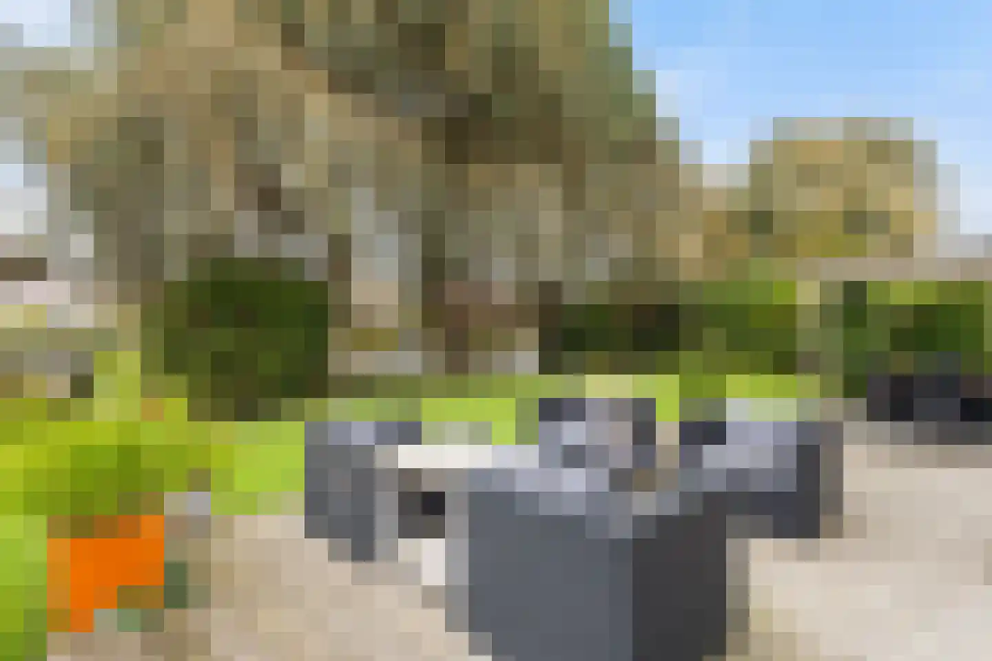 Vogelzwin 10 Sneek thumbnail 18