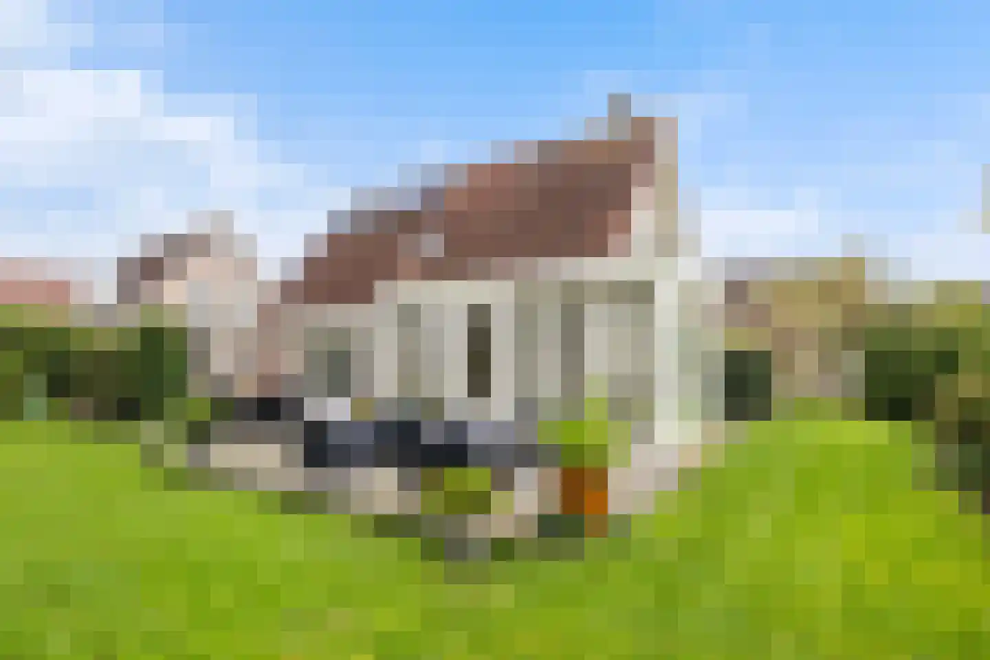 Vogelzwin 10 Sneek thumbnail 21