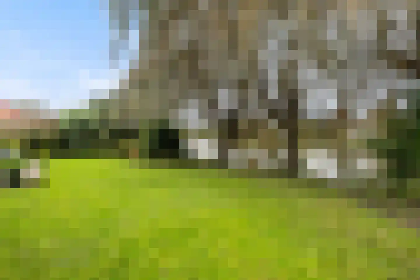 Vogelzwin 10 Sneek thumbnail 23
