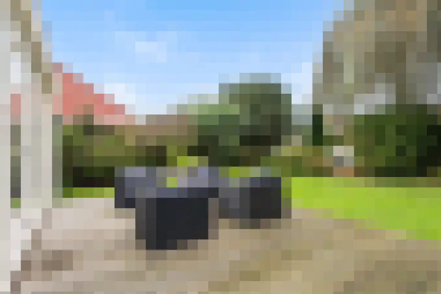 Vogelzwin 10 Sneek thumbnail 26