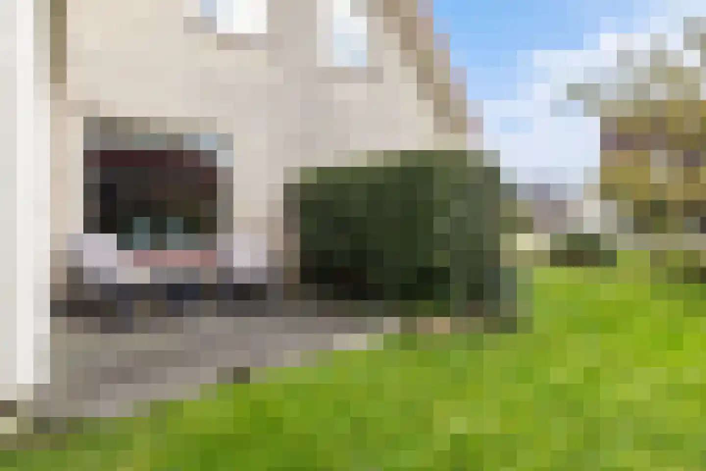 Vogelzwin 10 Sneek thumbnail 27