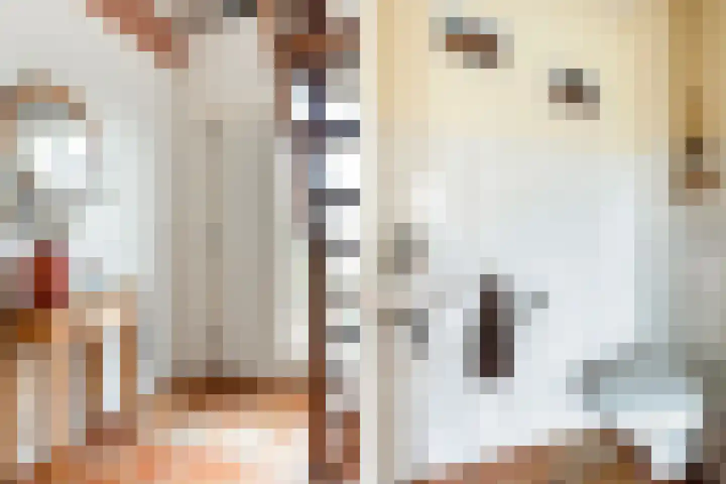 Vogelzwin 10 Sneek thumbnail 30