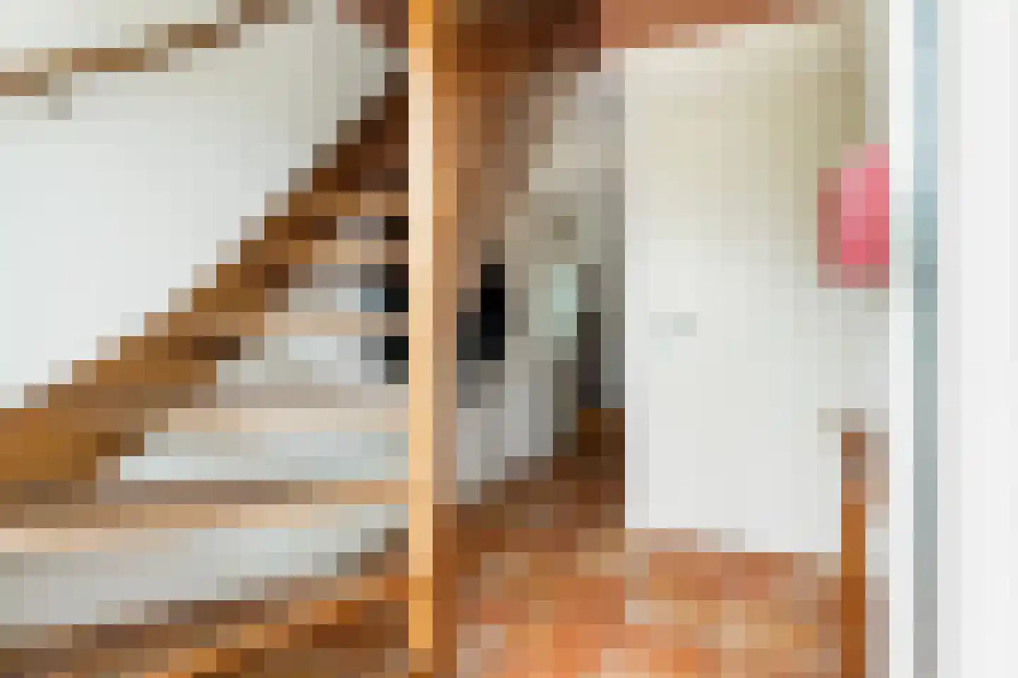 Vogelzwin 10 Sneek thumbnail 31