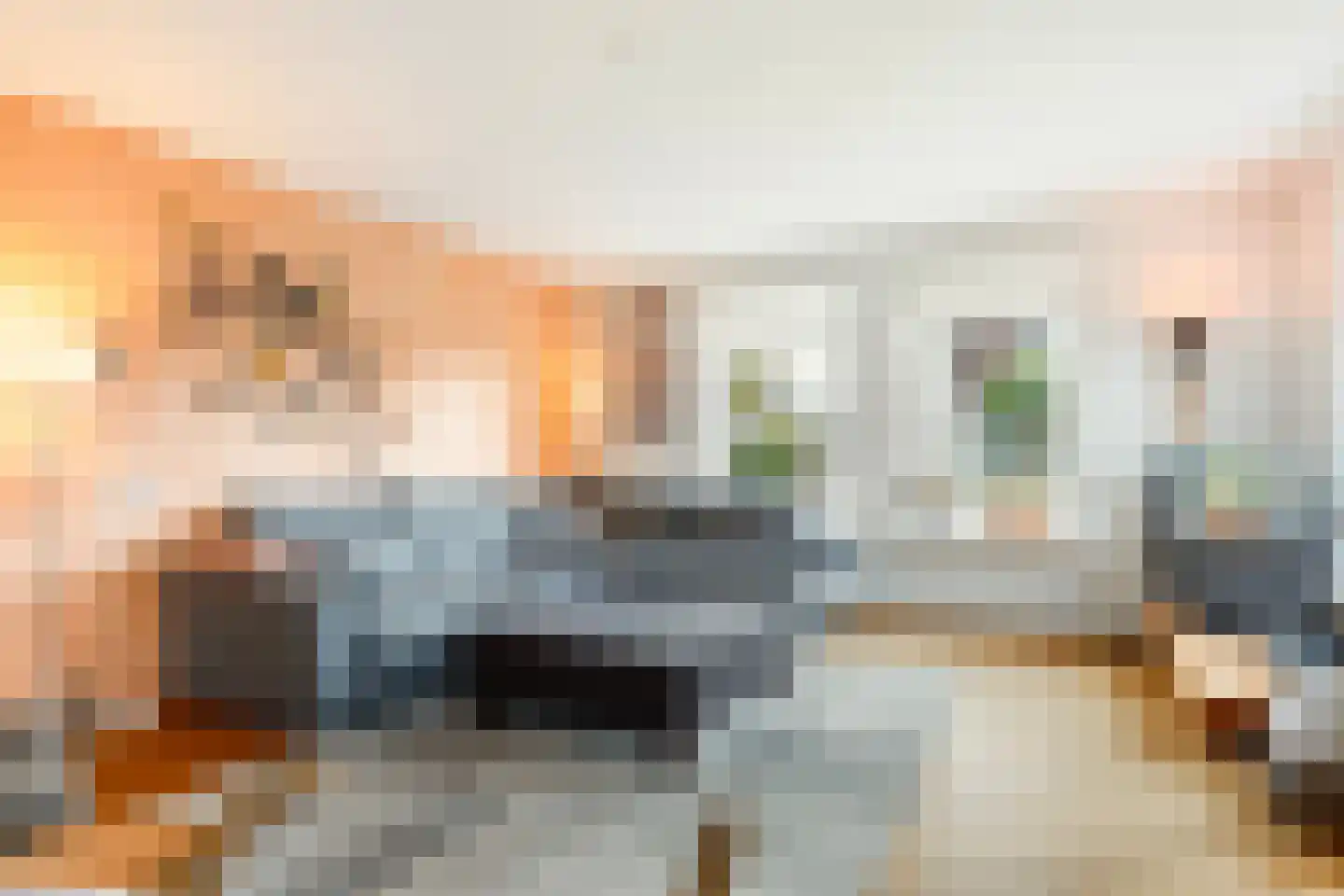 Vogelzwin 10 Sneek thumbnail 32