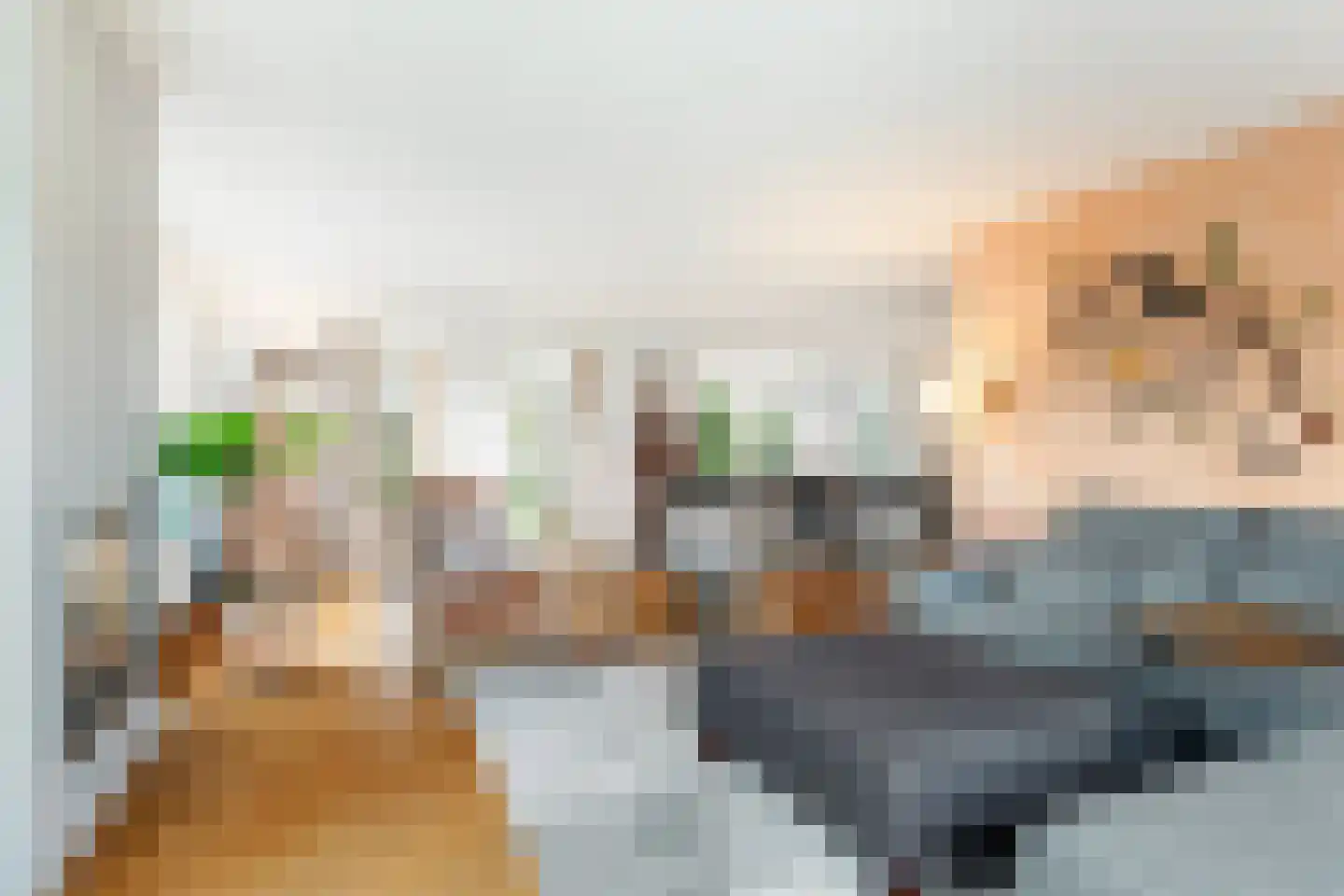 Vogelzwin 10 Sneek thumbnail 33