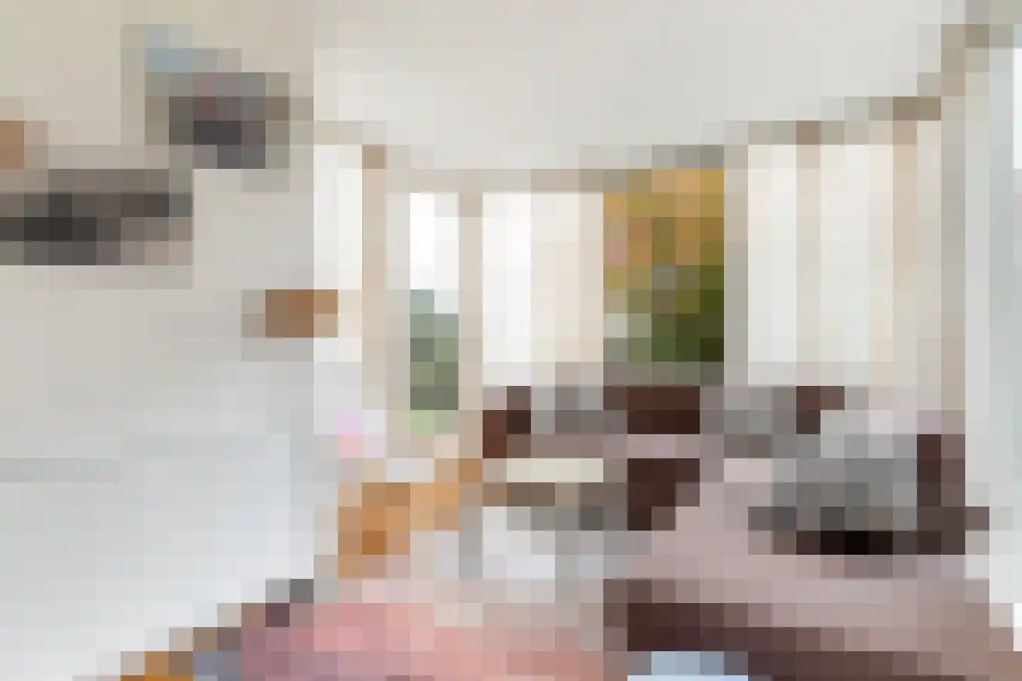 Vogelzwin 10 Sneek thumbnail 40