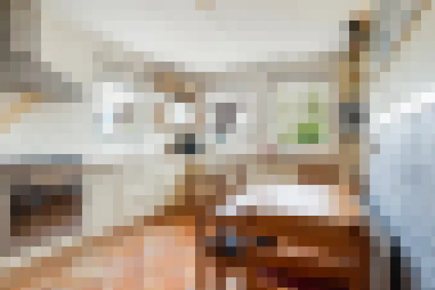 Vogelzwin 10 Sneek thumbnail 42