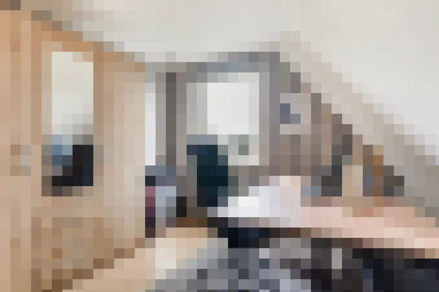 Vogelzwin 10 Sneek thumbnail 49