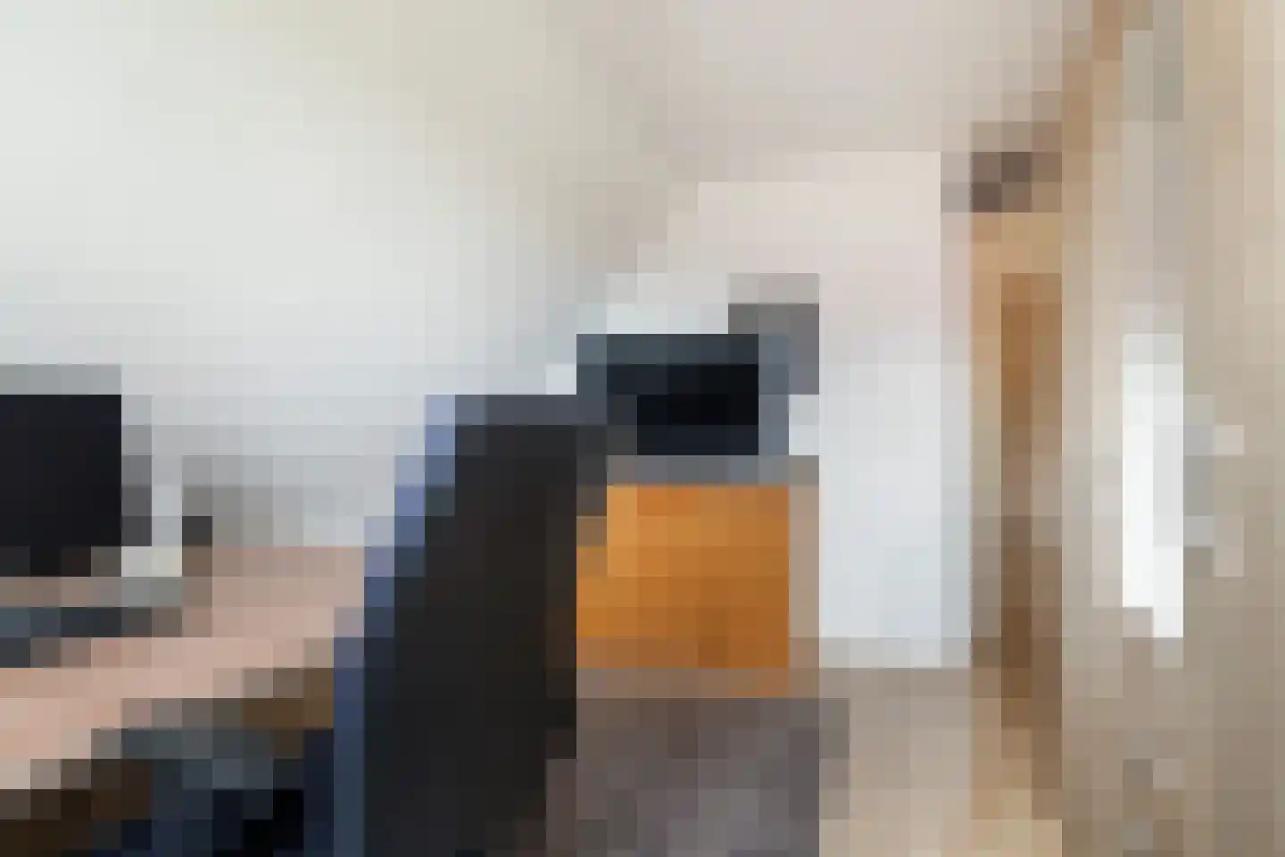 Vogelzwin 10 Sneek thumbnail 50
