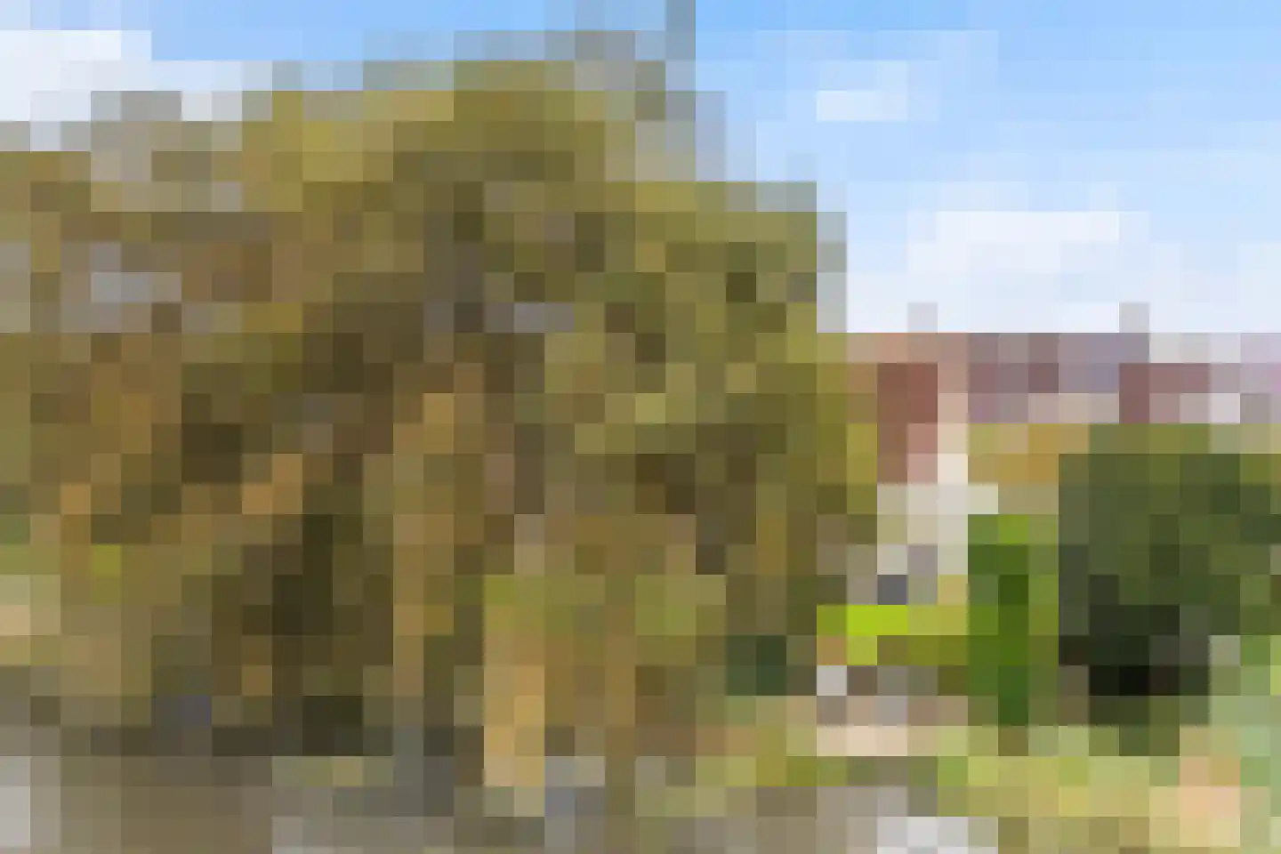 Vogelzwin 10 Sneek thumbnail 6