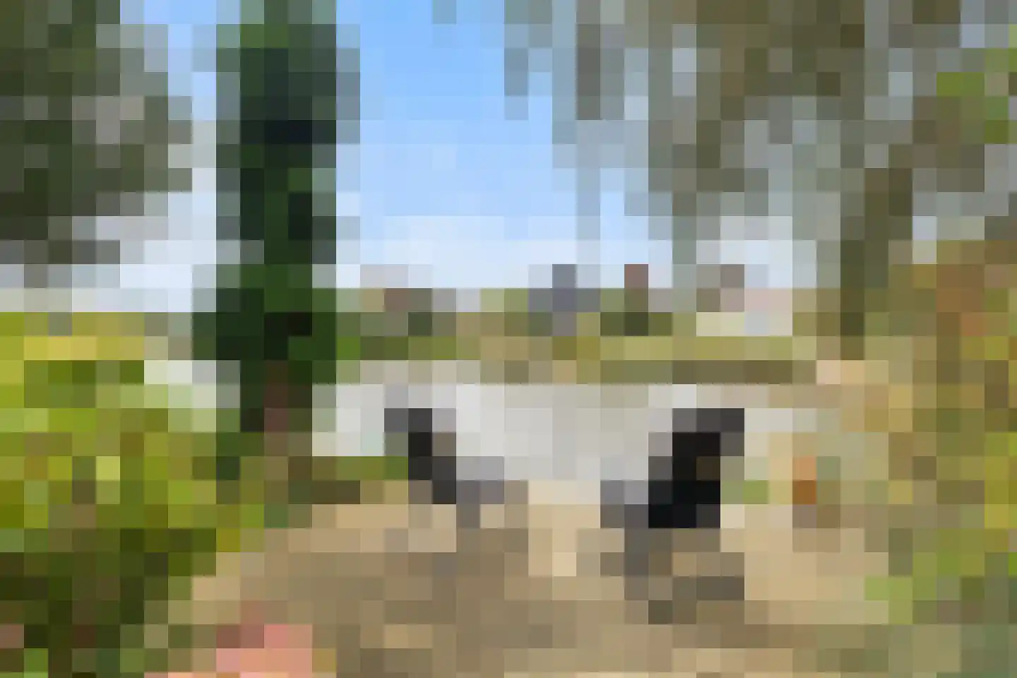 Vogelzwin 10 Sneek thumbnail 7