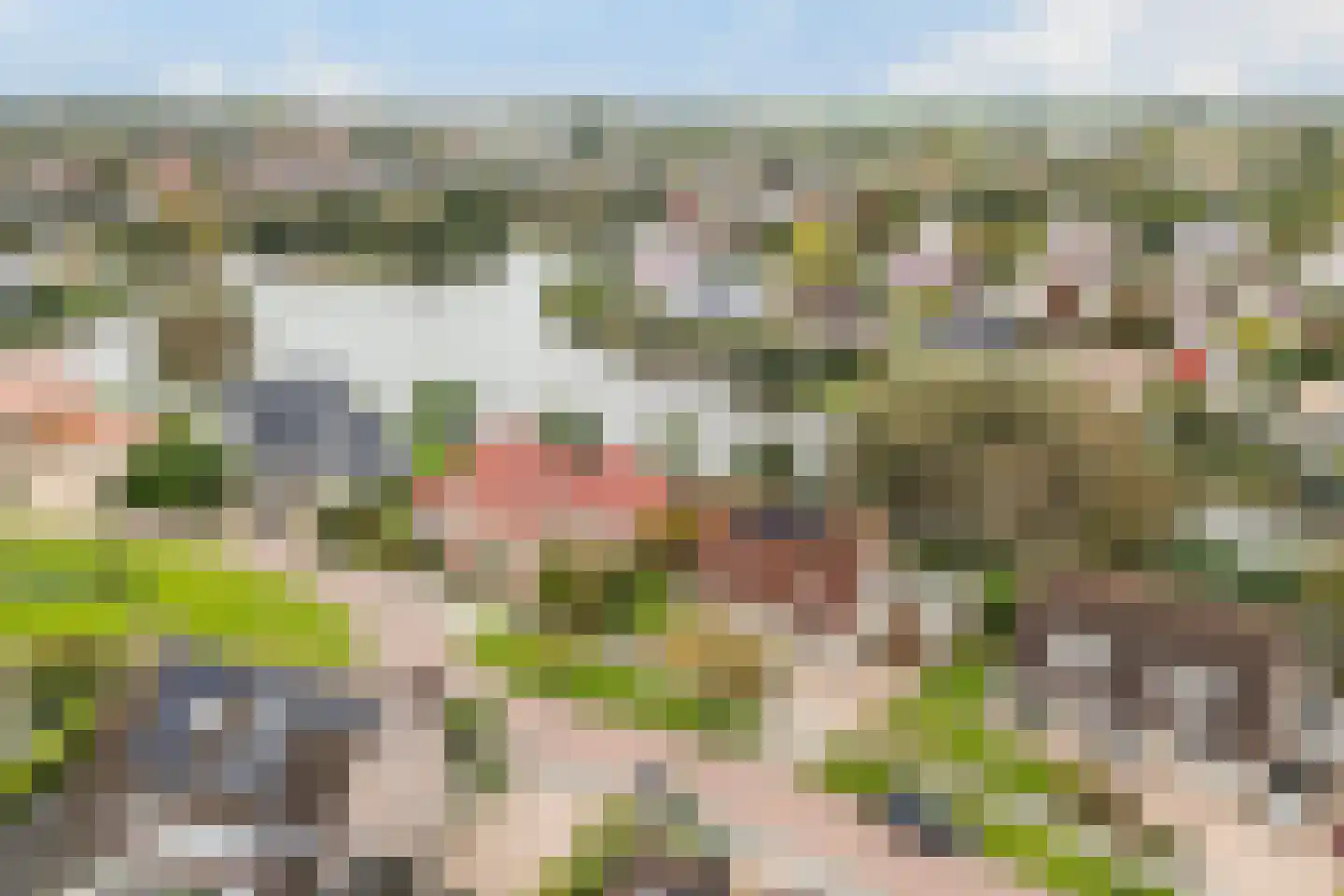 Vogelzwin 10 Sneek thumbnail 9