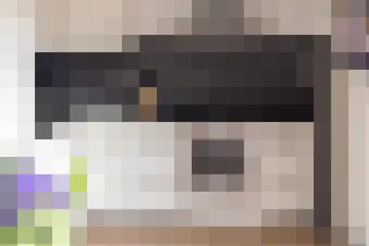 Vogelzwin 11 Sneek thumbnail 15