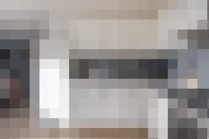 Vogelzwin 11 Sneek thumbnail 17