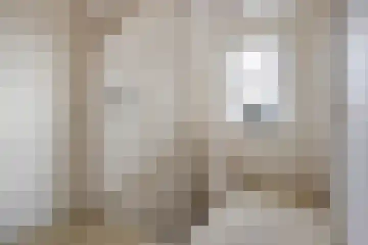 Vogelzwin 11 Sneek thumbnail 19