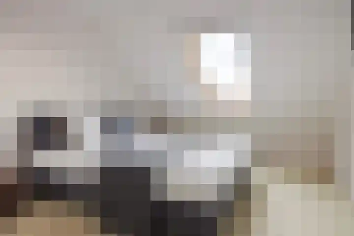 Vogelzwin 11 Sneek thumbnail 21
