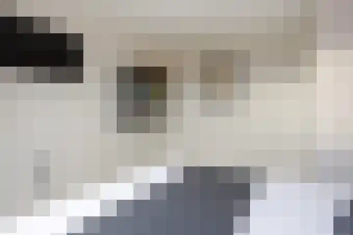 Vogelzwin 11 Sneek thumbnail 22