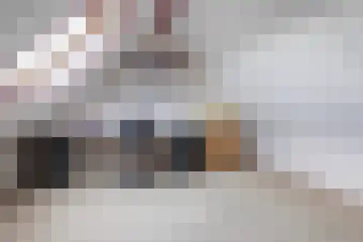Vogelzwin 11 Sneek thumbnail 30