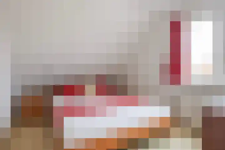 Vogelzwin 11 Sneek thumbnail 31