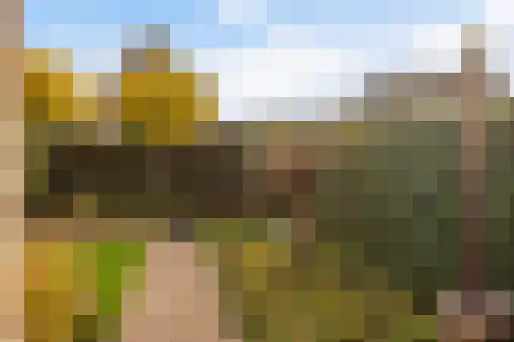 Vogelzwin 11 Sneek thumbnail 36