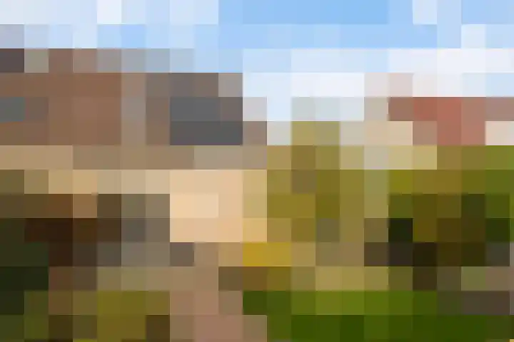 Vogelzwin 11 Sneek thumbnail 4