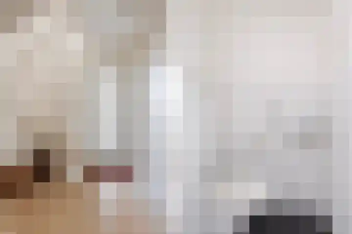 Vogelzwin 11 Sneek thumbnail 5