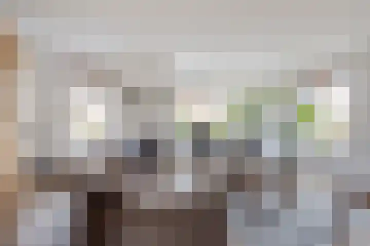 Vogelzwin 11 Sneek thumbnail 7