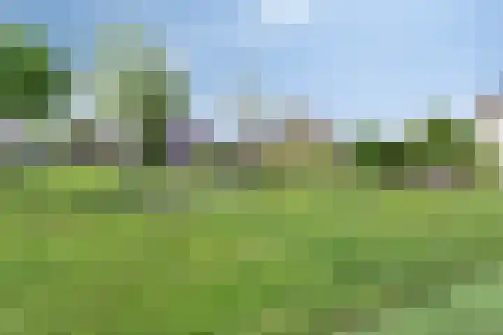 Vogelzwin 20 Sneek thumbnail 10