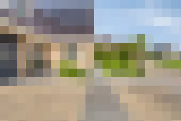 Vogelzwin 20 Sneek thumbnail 11