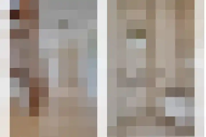 Vogelzwin 20 Sneek thumbnail 12