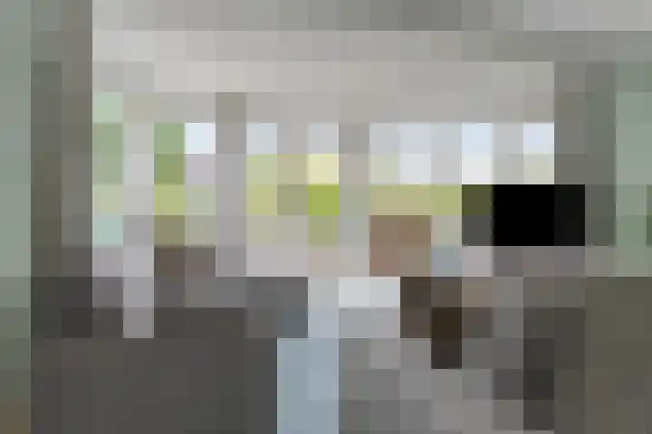 Vogelzwin 20 Sneek thumbnail 14